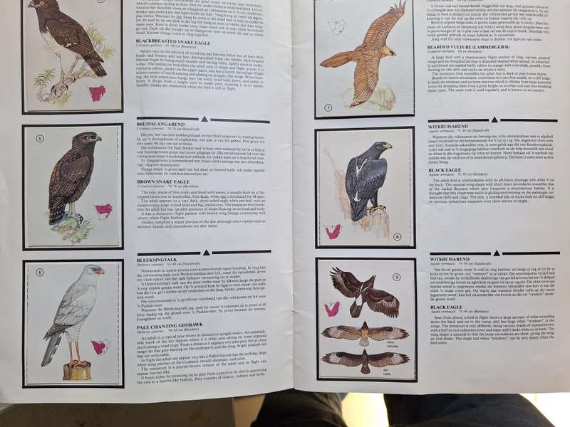Weet-Bix Birds of Prey Album complete set of 60 cards from 1970`s