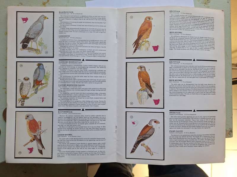 Weet-Bix Birds of Prey Album complete set of 60 cards from 1970`s