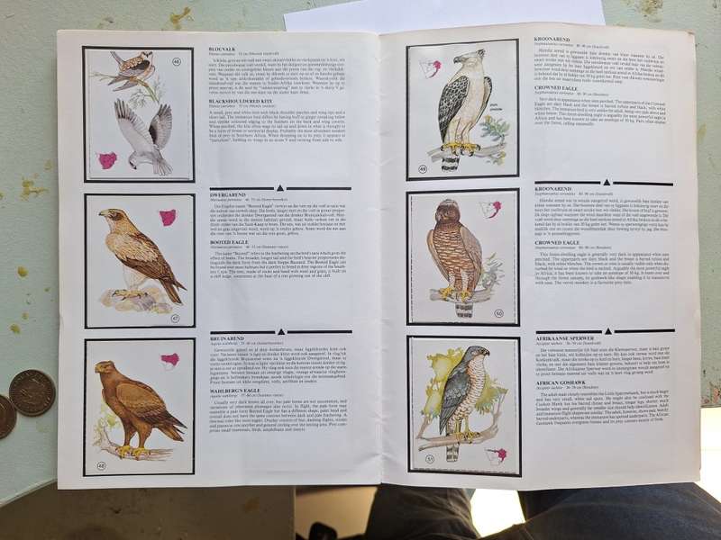 Weet-Bix Birds of Prey Album complete set of 60 cards from 1970`s