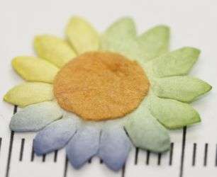 Paper flower (10 flowers)