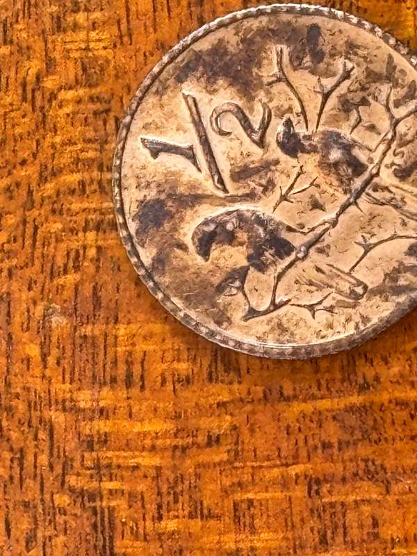 Various old South African coins