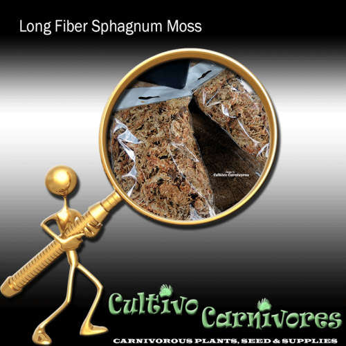 Long Fiber Sphagnum Moss | Orchid & Carnivorous plant growing media