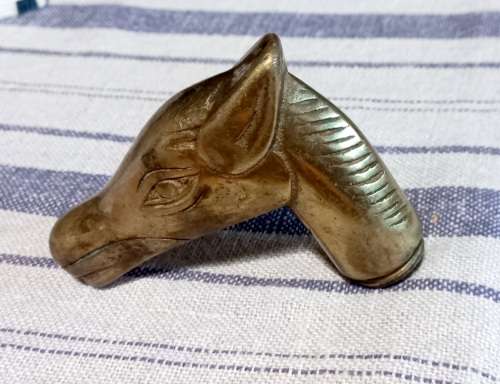 Decorative vintage brass walking cane head in the shape of a horse head.