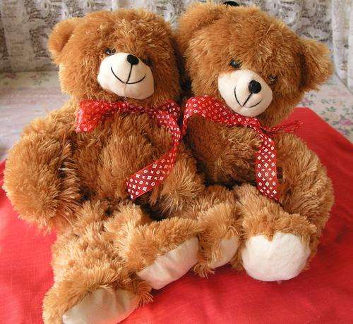 Super soft, cuddling brown bear
