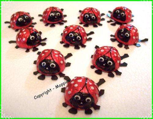 IMPORTED Ladybird chocolates - devine!!!