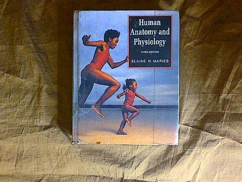 Human anatomy and physiology by Marieb
