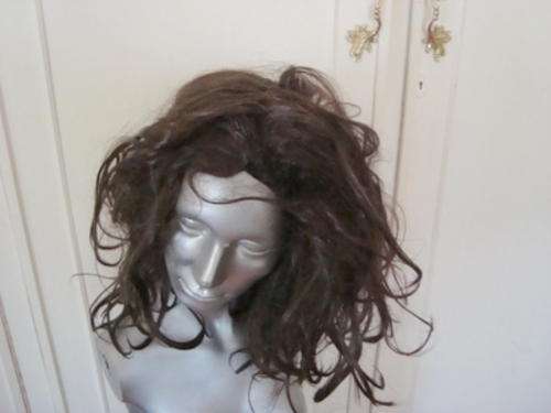 BROWN WIG HIGH SCHOOL MUSICAL