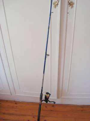 FISHING ROD & REEL (buyer collects)