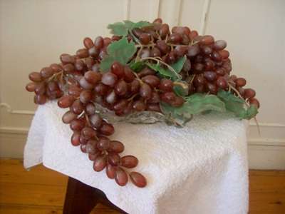 GRAPES ARTIFICIAL.