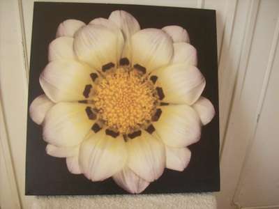 PRINT.  VERY ATTRACTIVE.