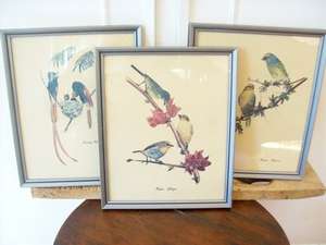 3 LOVELY PRINTS OF BIRDS