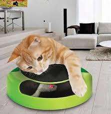 CATCH THE MOUSE MOTION CAT TOY