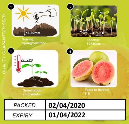 Guava Seeds