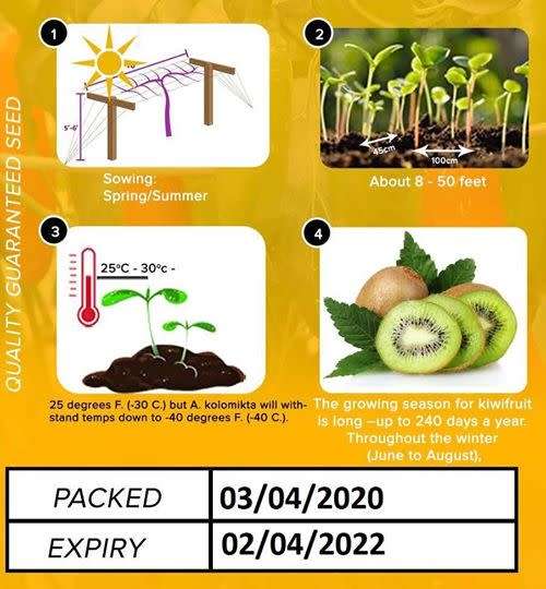 Kiwi Seeds