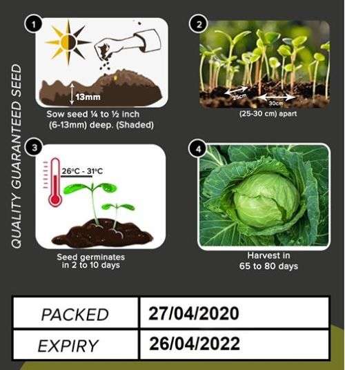 Cabbage Seeds