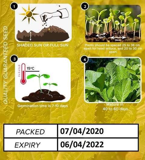 Mustard Seeds