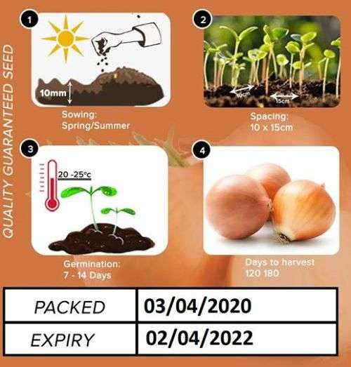 Onion Seeds