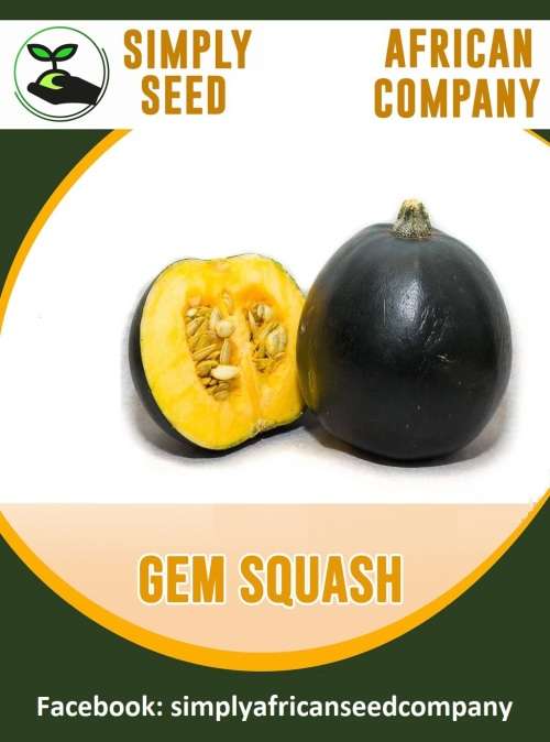 Gem Squash Seeds