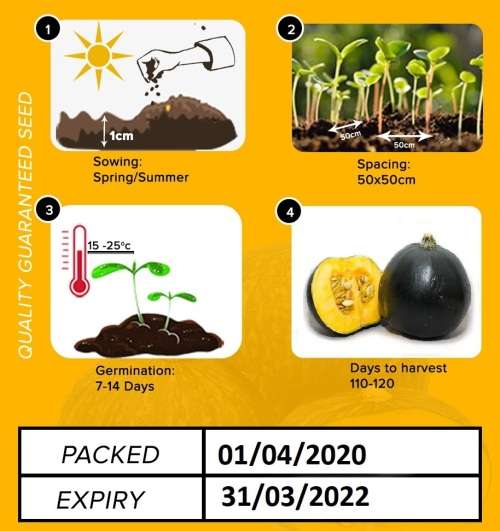 Gem Squash Seeds