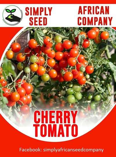 Cherry Tomatoes