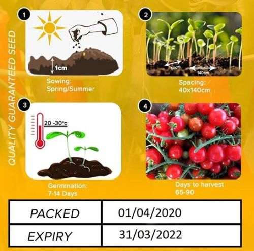 Cherry Tomatoes