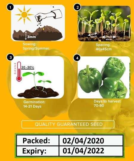 Green Pepper Seeds