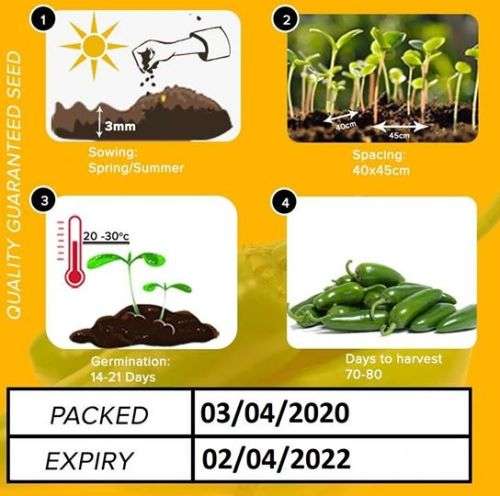Jalapeno Seeds