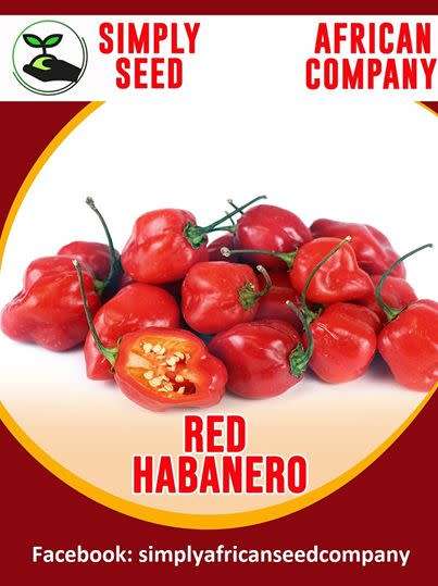 Red Habanero Seeds