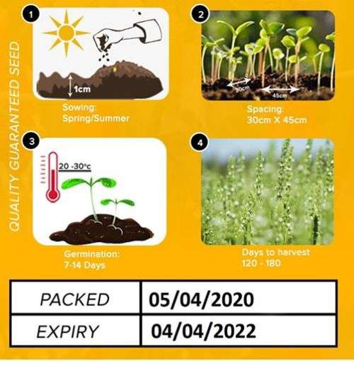 Chia Seeds