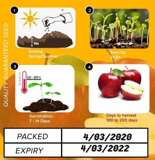Red Apple Seeds