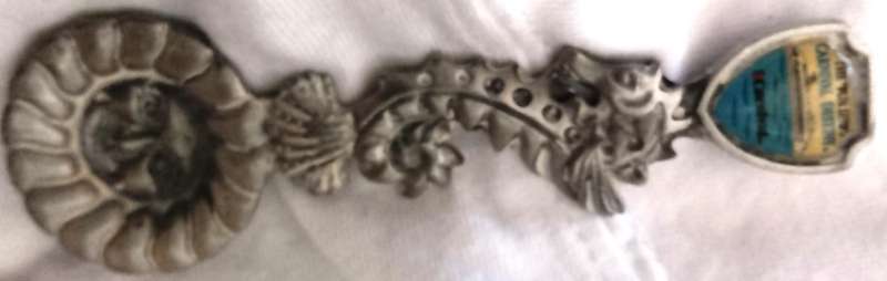 "Fort" Cruise Ship "Carnival Destiny" Collectable Spoon.