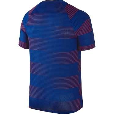 Original Mens NIKE Short Sleeve Flash GPX Dri Fit - Large - 725910-455