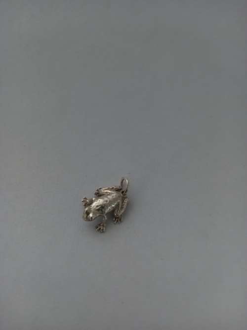 pendant/charm
