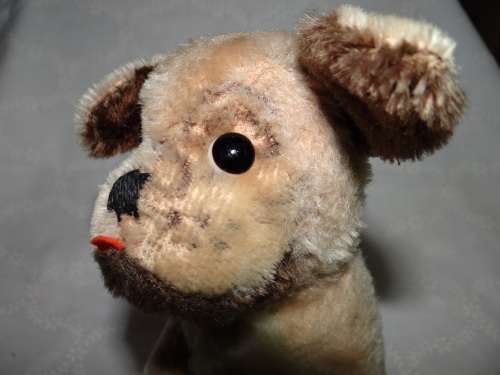 Bugsy soft toy