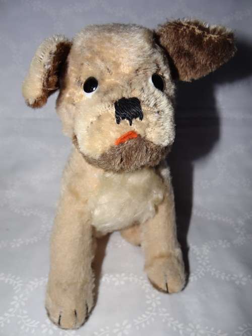 Bugsy soft toy