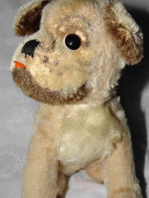 Bugsy soft toy