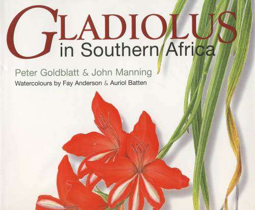 Gladiolus in Southern Africa-Peter Goldblatt & John Manning- Watercolours Fay Anderson&A Batten