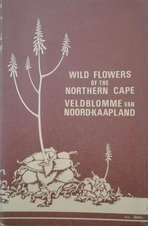 Wild Flowers of the Northern Cape - Jill Adams