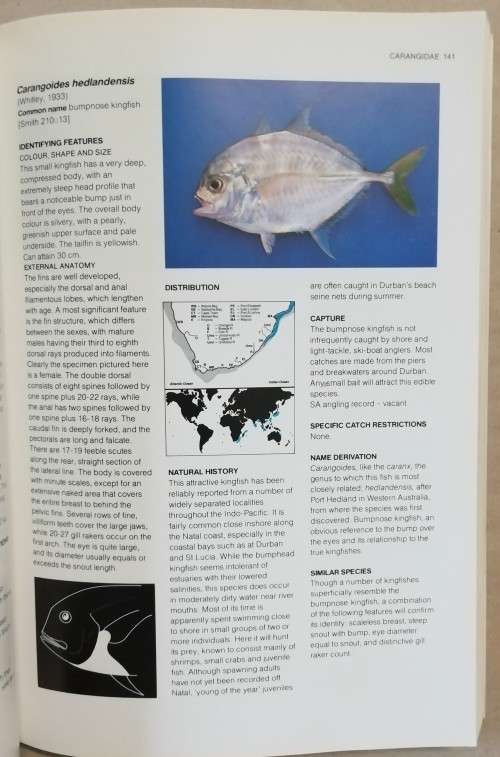 A Guide to the Common Sea Fishes of Southern Africa - Rudy van der Elst.