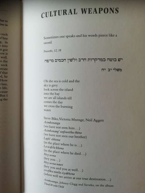Cutting Through The Mountain - Immanuel Suttner