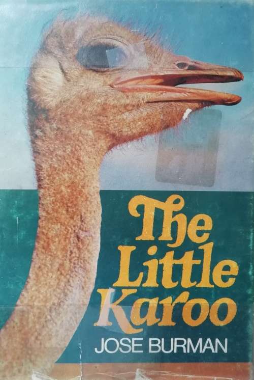 The Little Karoo by Jose Burman