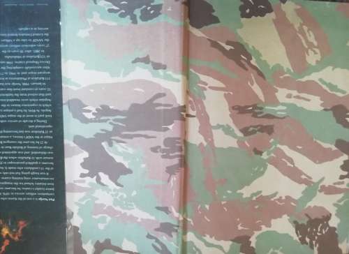 The Terrible Ones - A Complete History of 302 Battalion Volume 2 / Piet Nortjie
