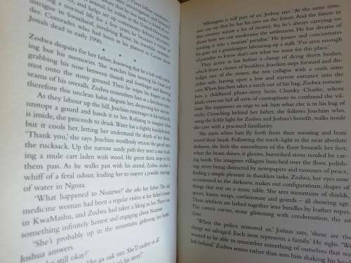 The Memory Of Stones / Mandla Langa