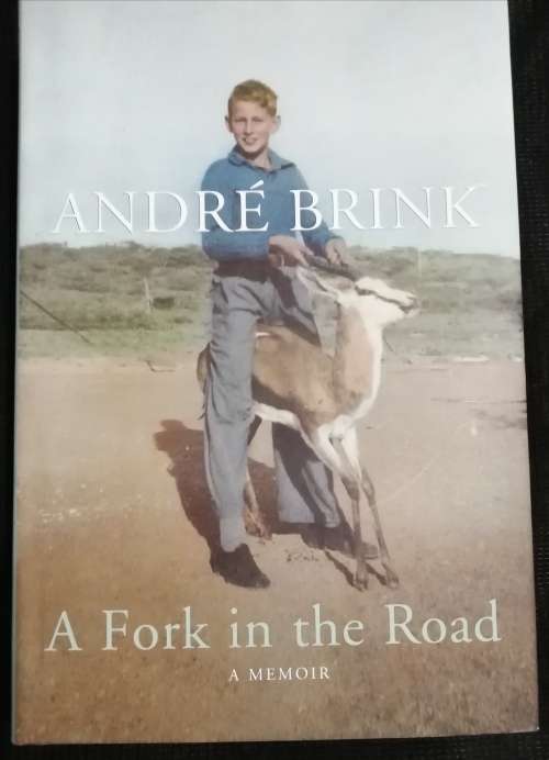 A Fork in the Road / Andre Brink