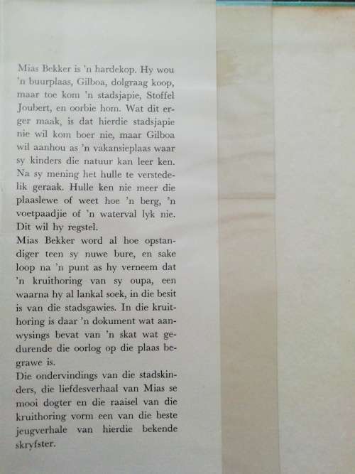 Die Raaisel van die Kruithoring / Minnie Postma