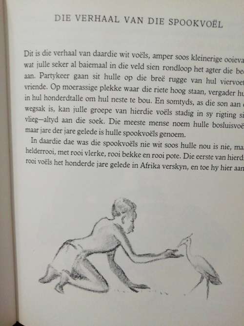 Verhale van die Krale - Madeline Murgatroyd