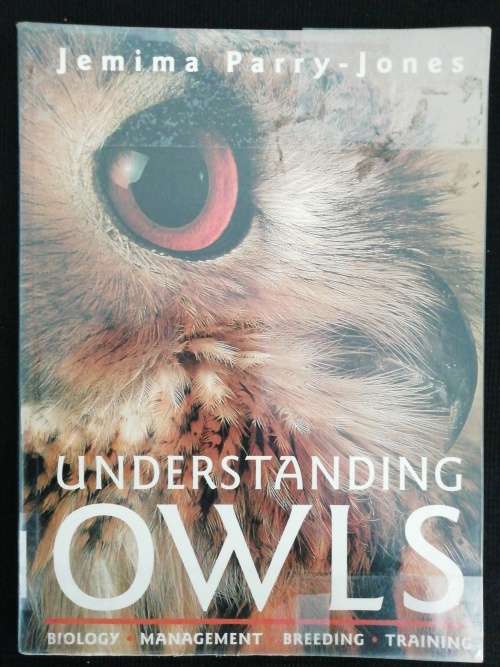 UNDERSTANDING OWLS / Jemina Parry-Jones