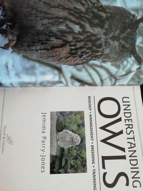 UNDERSTANDING OWLS / Jemina Parry-Jones