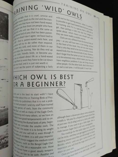 UNDERSTANDING OWLS / Jemina Parry-Jones