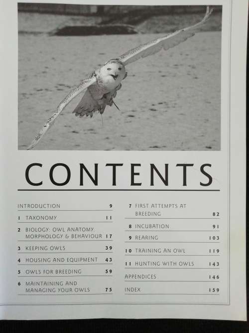 UNDERSTANDING OWLS / Jemina Parry-Jones